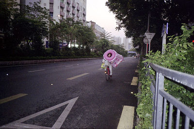 SCHMOTT PingPong 389