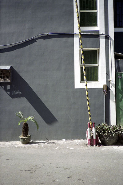 SCHMOTT PingPong 395