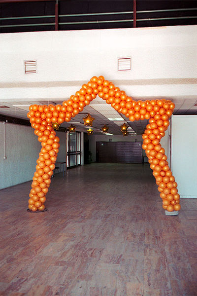 SCHMOTT PingPong 401