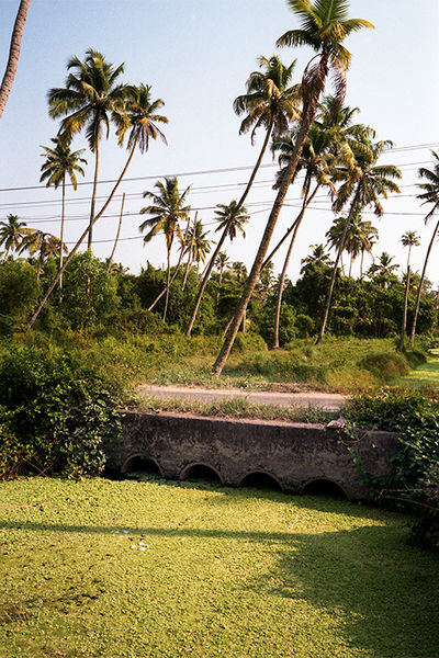 SCHMOTT PingPong 421