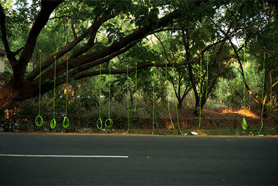 SCHMOTT PingPong 429