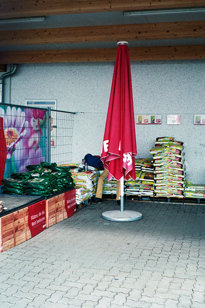 SCHMOTT PingPong 454