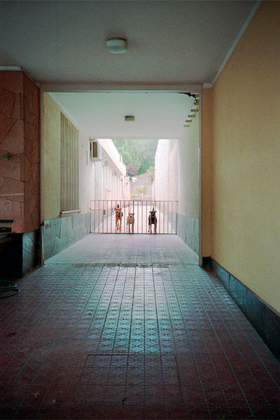 SCHMOTT PingPong 466