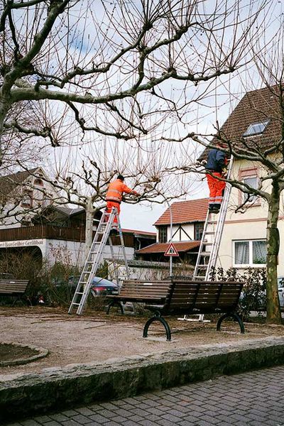 SCHMOTT PingPong 472