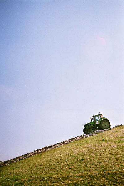 SCHMOTT PingPong 482