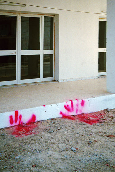 SCHMOTT PingPong 486