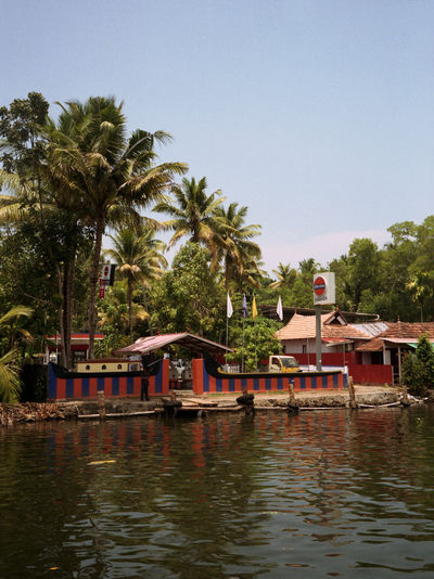 SCHMOTT PingPong 511