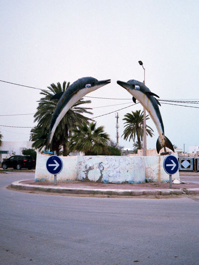 SCHMOTT PingPong 537