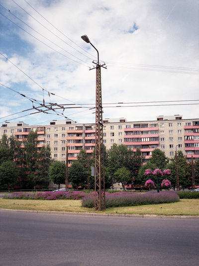 SCHMOTT PingPong 543