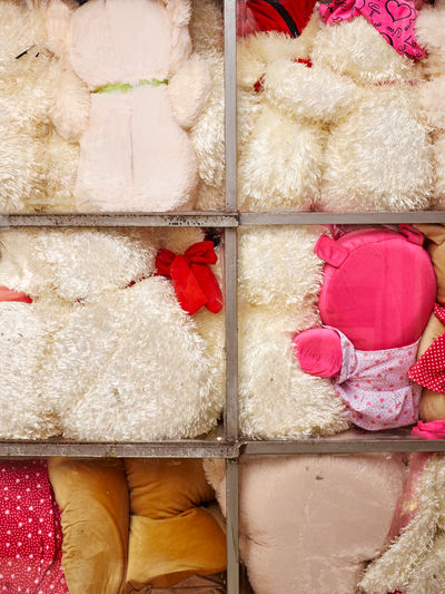 SCHMOTT PingPong 556