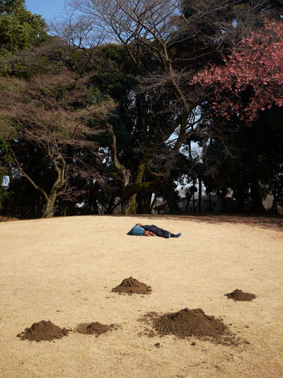 SCHMOTT PingPong 559