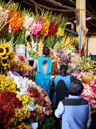 SCHMOTT PingPong 564