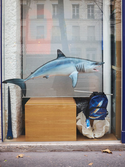 SCHMOTT PingPong 578