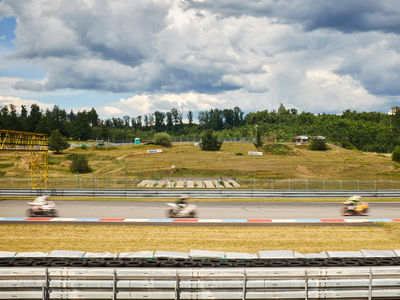 SCHMOTT PingPong 584