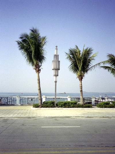 SCHMOTT PingPong 611