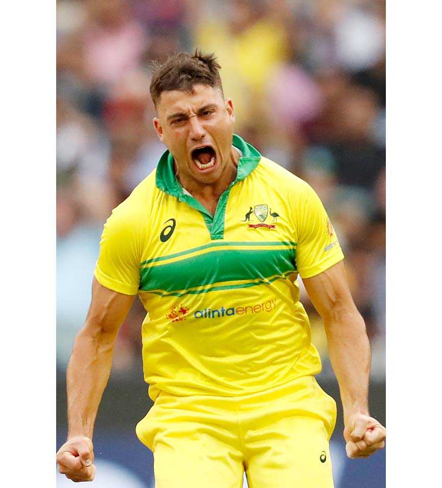 marcus stoinis  facts