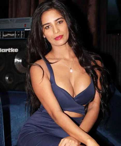 Poonam Pandey's Networth