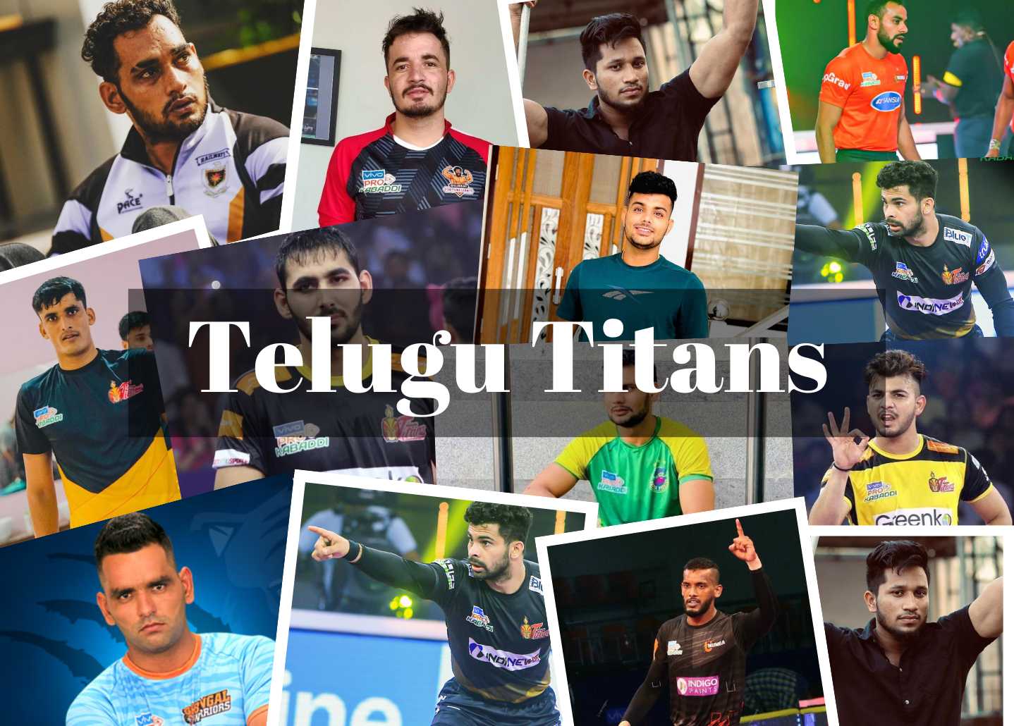 Telugu Titans Pro Kabbadi League,Matches,Team,Players,Owner