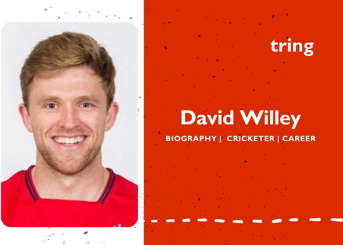 David Willey banner photo