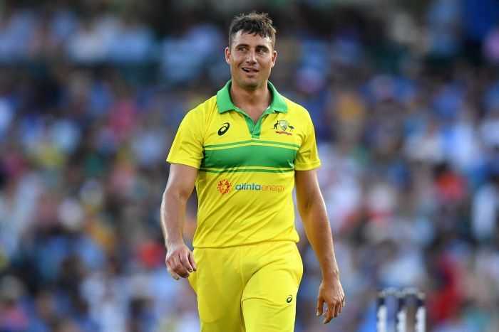 marcus stoinis networth