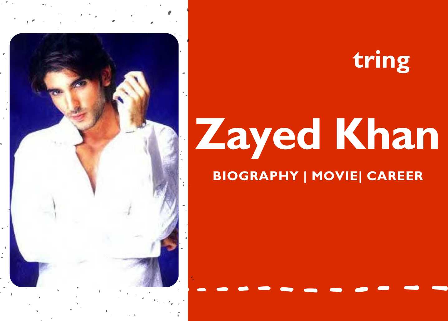 zayed khan movies