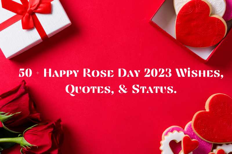 Happy Valentine's Day 2023: Top 50 Wishes, Messages and Quotes to share  with your partner, family and loved ones - Times of India