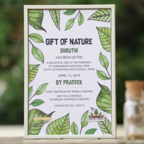 Gift a tree - last minute Raksha Bandhan gifting ideas