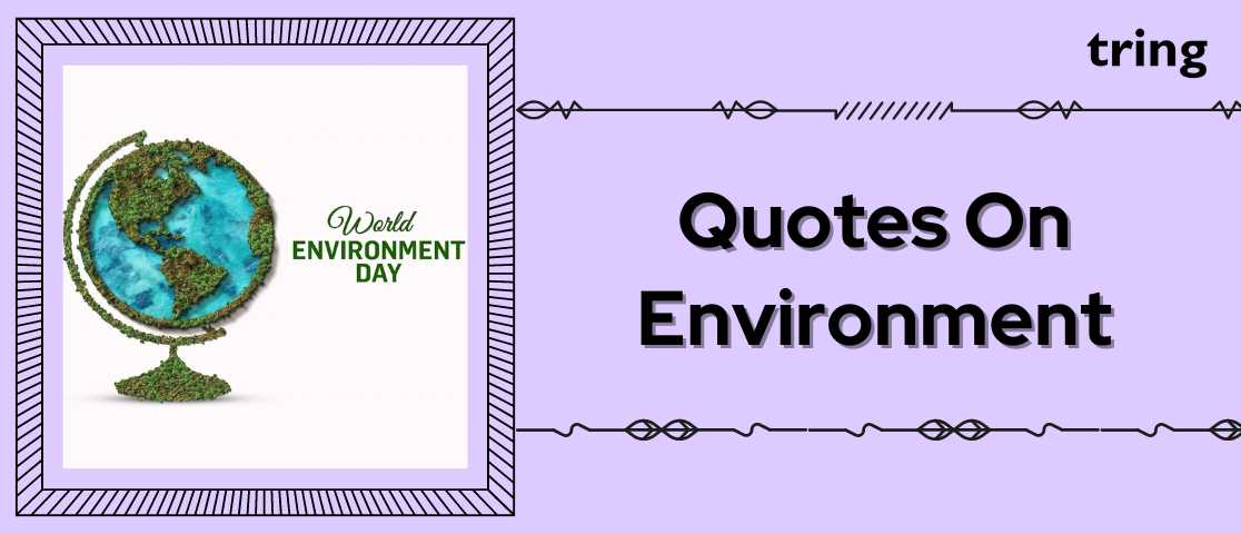 quote on environment banner