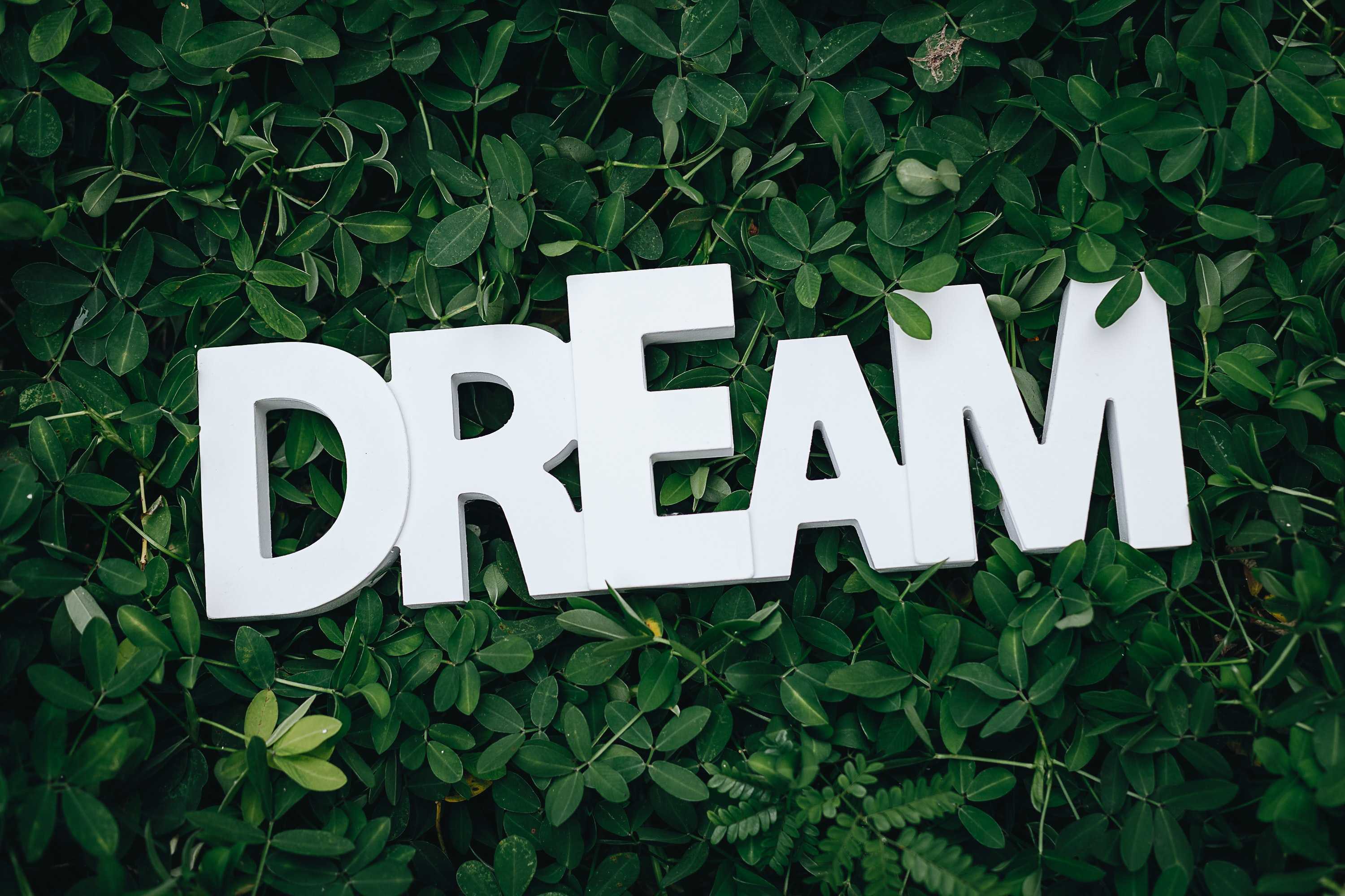 100 Quotes To Encourage You To Dream Big