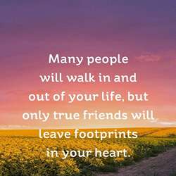 short-friendship-quotes-tring(1)