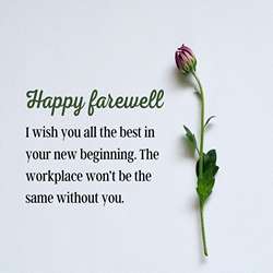 120+ Farewell Messages to Colleagues With Images