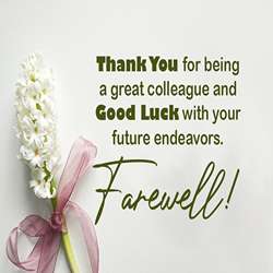 120+ Farewell Messages to Colleagues With Images