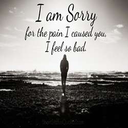 heart-touching-sorry-quotes-for-gf-tring(10)