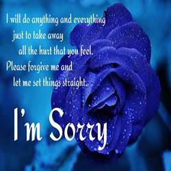 75+ Sorry Quotes For Husband To Apologise