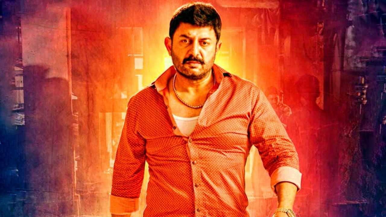 arvind-swamy-career-tring