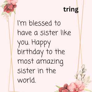Happy Birthday Sister Quotes(2)