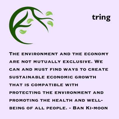 Long World Environment Day Quotes