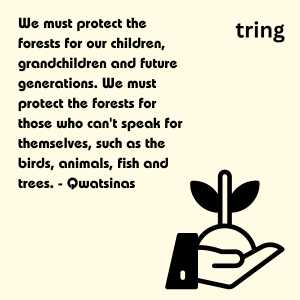 World Environment Day Quotes(3)