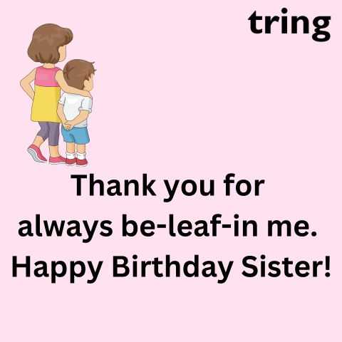 happy birthday quotes for older sister