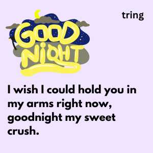 Good Night Messages To My Love (5)