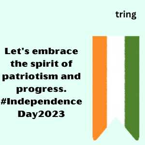 Independence Day Captions (3)