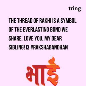 Raksha Bandhan Captions (7)