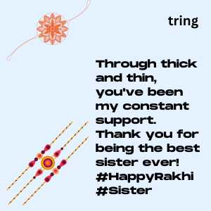 Raksha Bandhan Captions (3)