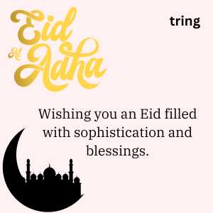 Eid Captions (10)