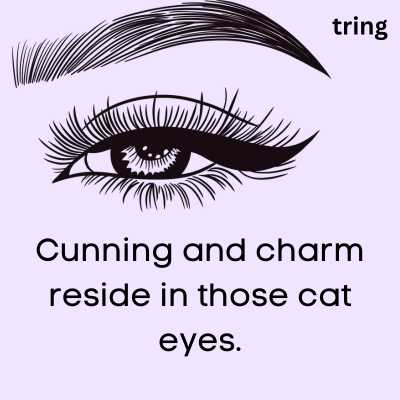 Cat Eye Captions For Instagram