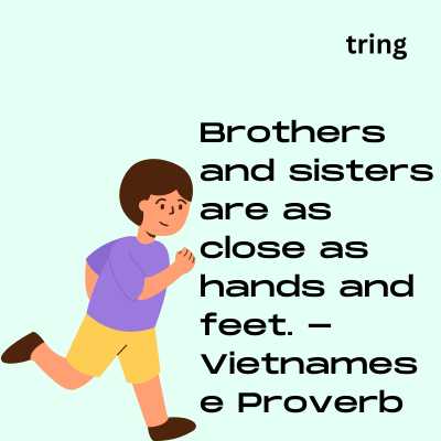 Happy Brother's Day Quotes and Sayings