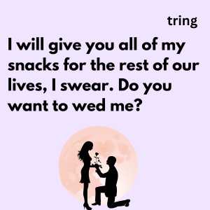 160+ Best and Romantic Proposal Lines to Confess Your Love