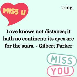75+ Heartfelt Long Distance Miss You Quotes to Soothe Your Heart