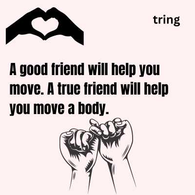 Sarcastic Friendship Quotes