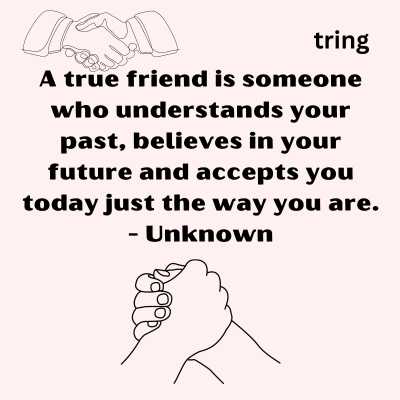 100 Meaningful Friendship Quotes (With Images)  Meaningful friendship  quotes, True friendship quotes, Best friend quotes meaningful